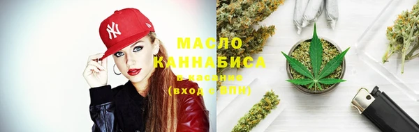 крисы Пересвет