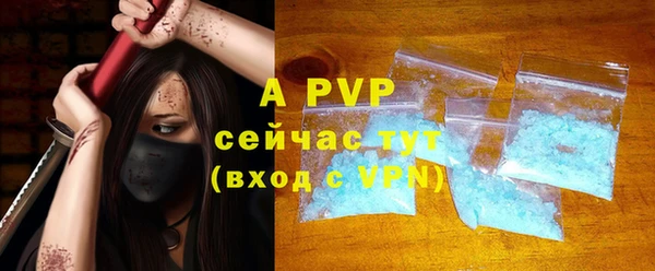 молекула духа Переславль-Залесский