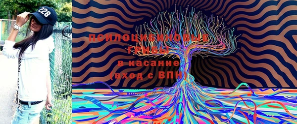 молекула духа Переславль-Залесский