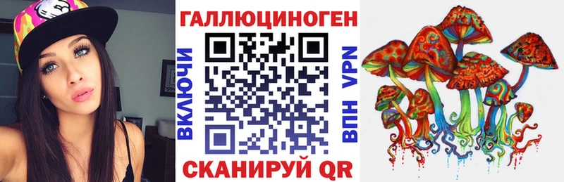 дарк нет Telegram  Касли  Галлюциногенные грибы Psilocybine cubensis  купить закладку 